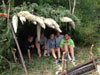 Survival Training